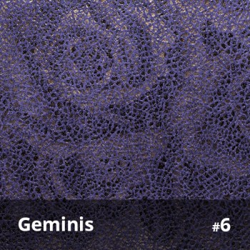 Geminis 6